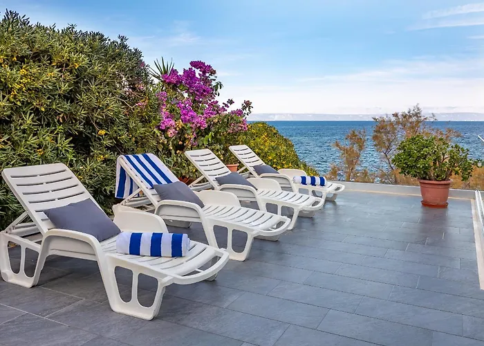 House Martinovic فيلة *